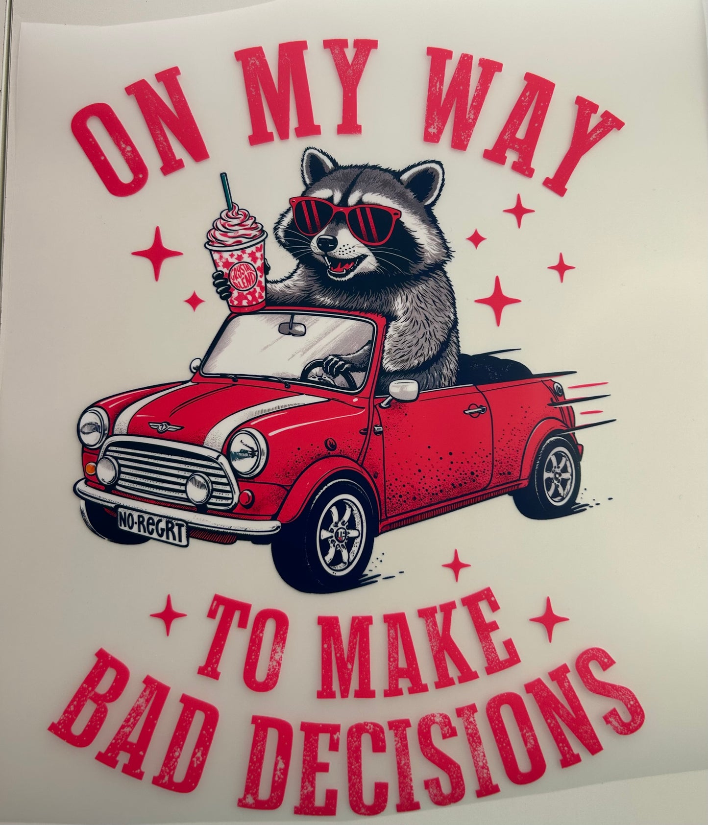 On My Way to Make Bad Decisions — Raccoon 2 — Graphic