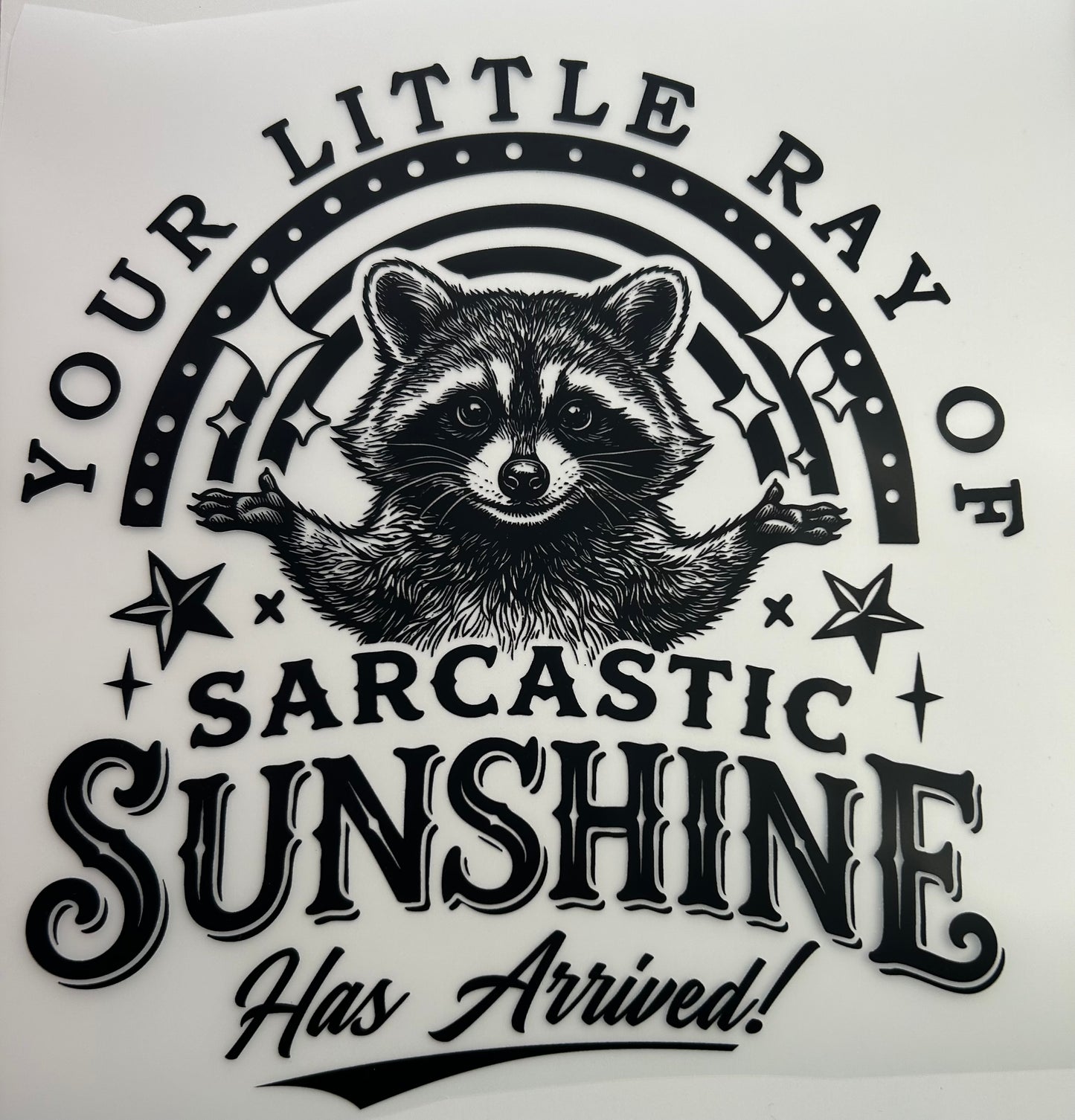 Your Little Ray of Sarcastic Sunshine