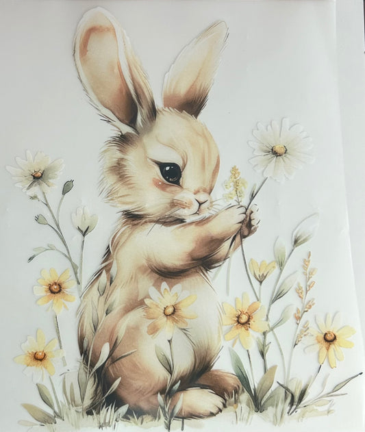 Spring Bunny — Graphic