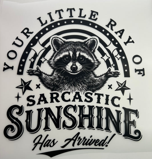Your Little Ray of Sarcastic Sunshine
